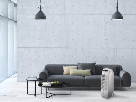 Honeywell ES 800 с ионизацией