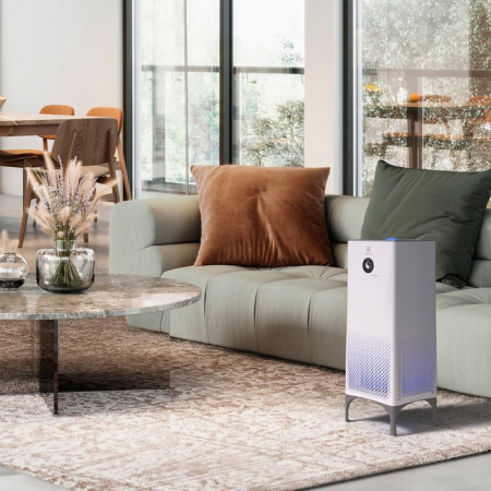 Electrolux Yin&Yang EAP- 2075D